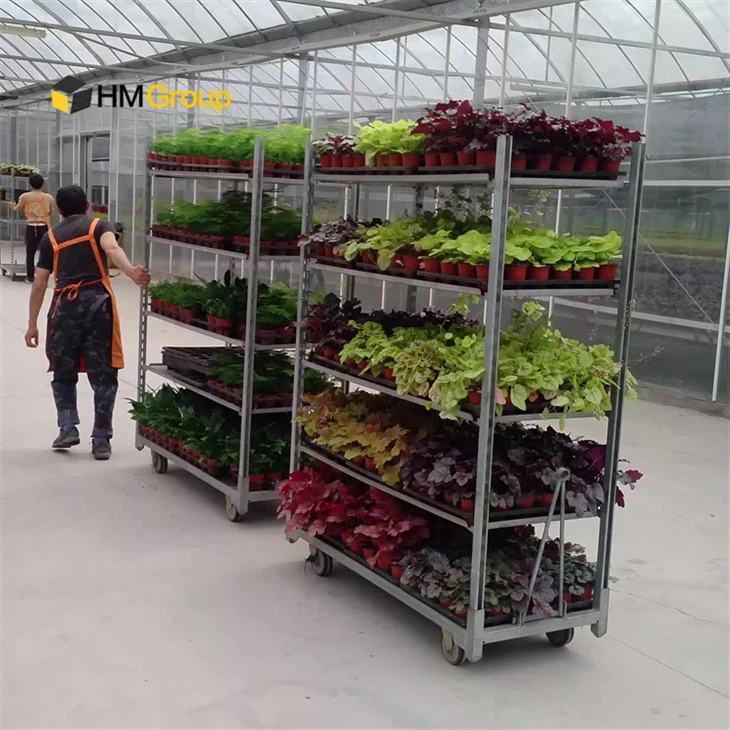 Dutch Plant Trolley